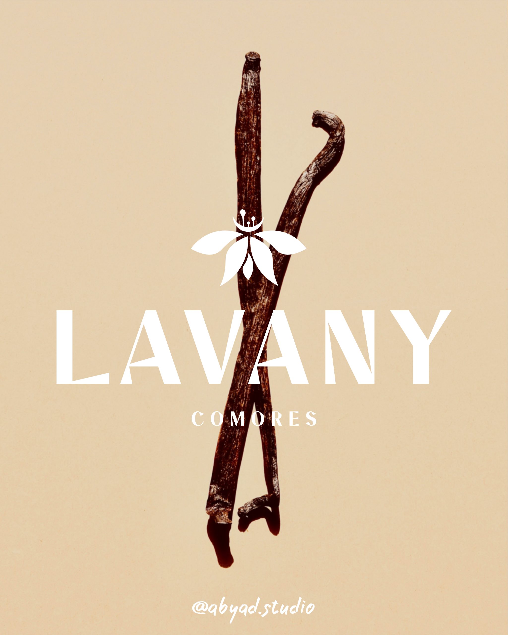 LAVANY